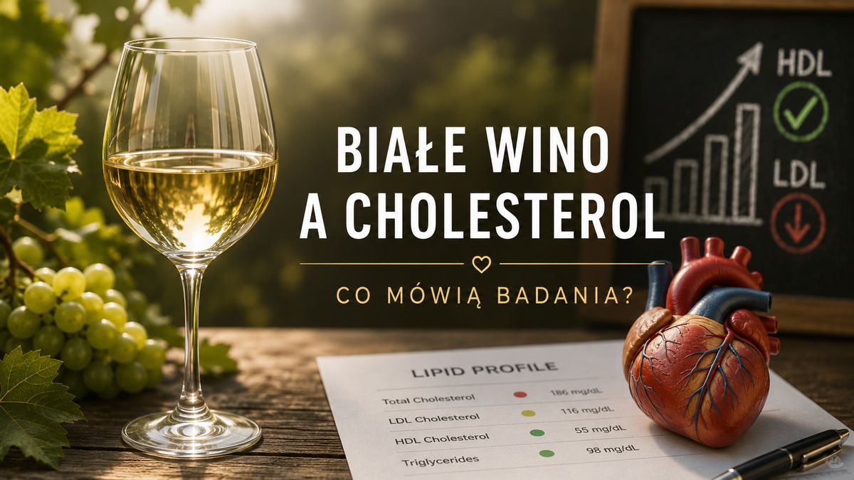 Białe wino a cholesterol – jaki ma wpływ na organizm?